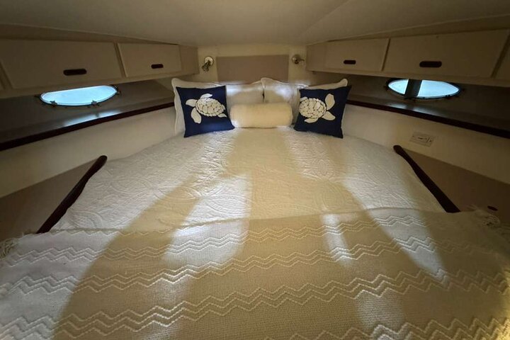 %Miami Yacht Rentals%